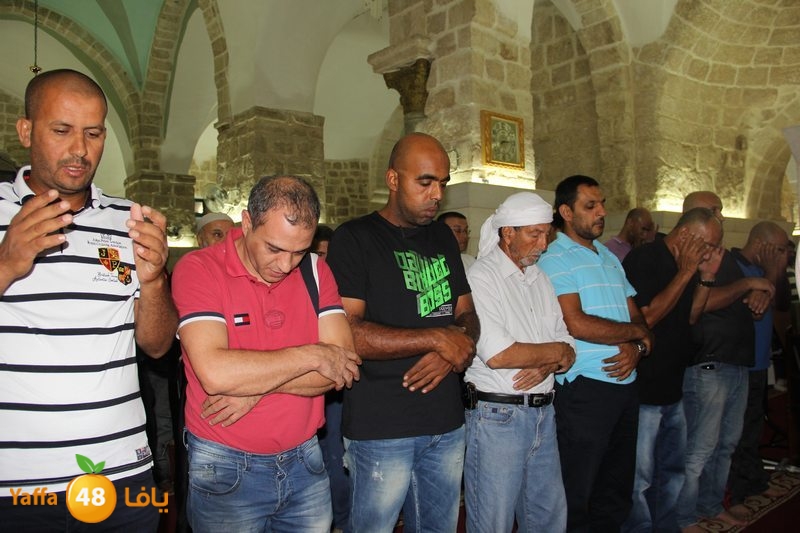 mohadararar (35).JPG